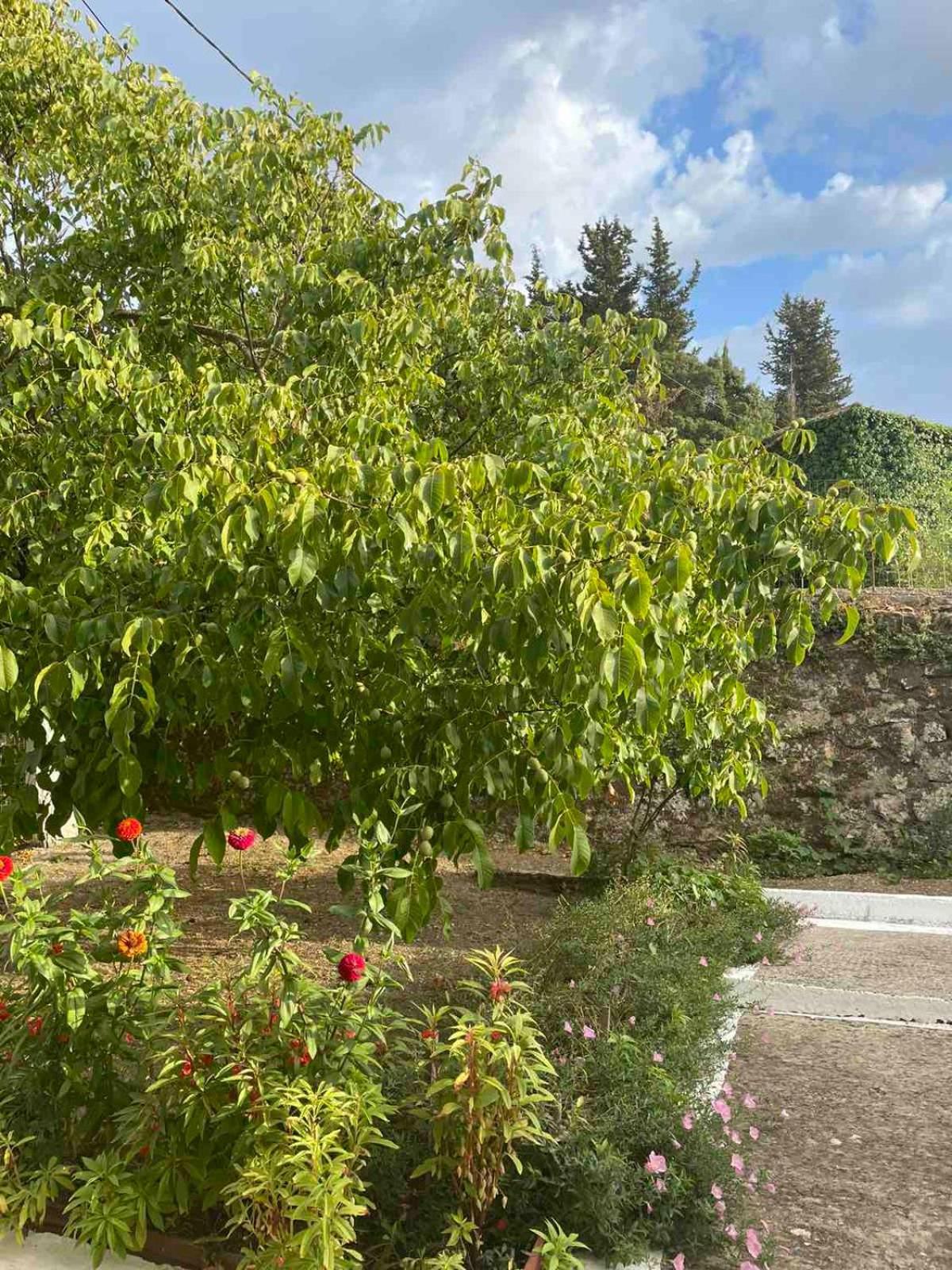 Вилла Anesis Asprogerakata Экстерьер фото